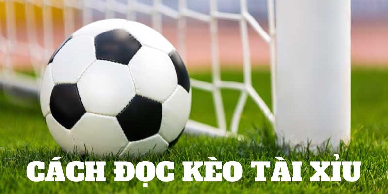 Cách đọc kèo Tài Xỉu tỷ lệ phổ biến trong bóng đá