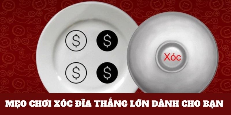 Mẹo chơi xóc đĩa tối ưu thắng lợi cho tân binh